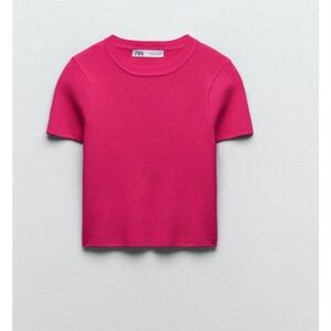 Zara Fuchsia Short Sleeve Crop Top